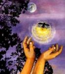 Che fine han fatto le lucciole?