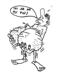 L'amico rompicoglioni