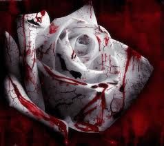 Quando uccidi un amore