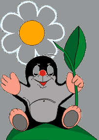 Sul fianco di un sogno  