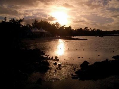 Luminaria in decadenza  