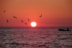 Il sogno di una notte