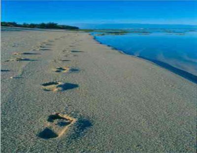 Orme di me, orme di te, orme  