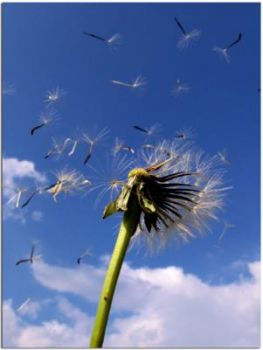 Oggi e sempre, ancora  