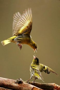 Sar�... Perfetta dimensione esistenziale  