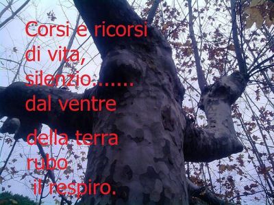 L'albero dell'amore (Tu sai cos'� il dolore?)  