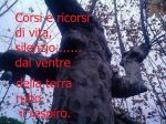 L'albero dell'amore (Tu sai cos'� il dolore?)  