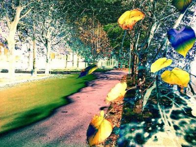 Sulle tue mani di edera