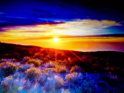 Il miracolo del sole!(La vera amicizia)