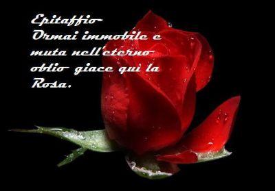 L'artiglio del Leone