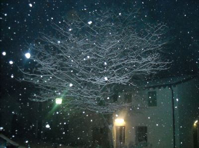 Neve, per esser uomo