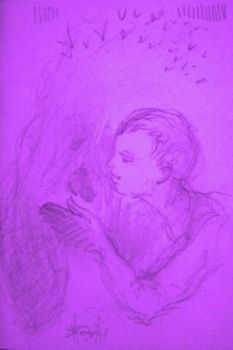 Concessione insospettabile