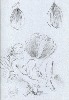 Cantiere dell�esuberanza