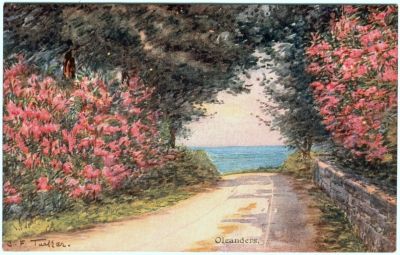 Sulla via degli oleandri  