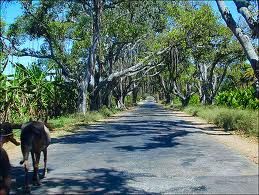 Avrei voluto che fossimo cielo