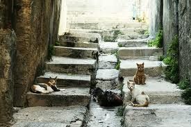 Dal mio rifugio...(3)  