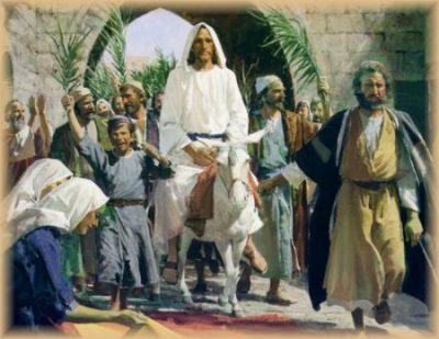 Domenica delle Palme - " Viva l'aliva "