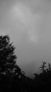 Dal mio rifugio (17)