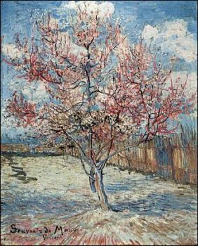 La bellezza di Marzo  