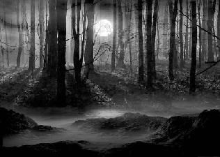 Il male nero (Declino n°1)