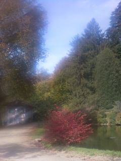 Ascoltando il Silenzio  