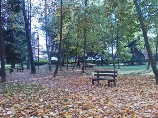 L'indifferenza e l'amore  