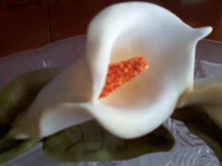 Speranza � nel pianto