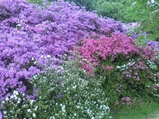 Discorrendo con l'anima