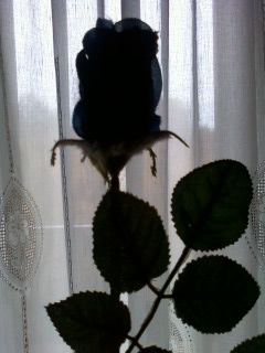 Fenditura nell'anima  