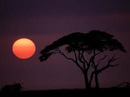 Luna rossa, amica mia  