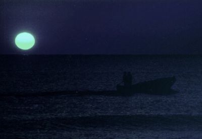 Distanti congiunture  