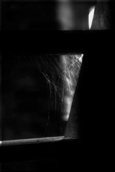 L'alcova dell'aracnide  