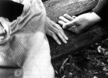 Vicine risuonan le nostre solitudini