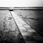 Quando il raggiar di te � distante, imperscrutabili i viali del mattino