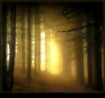 Attimi di conoscenza