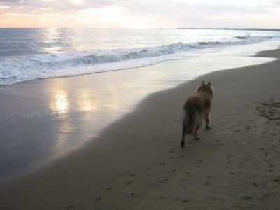 Troppo stanco per arrendersi