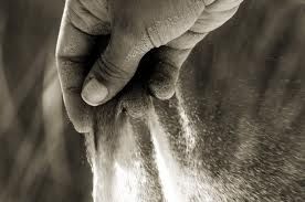 Il dolore che mi hai lasciato