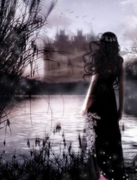 Non stavo cercando te  