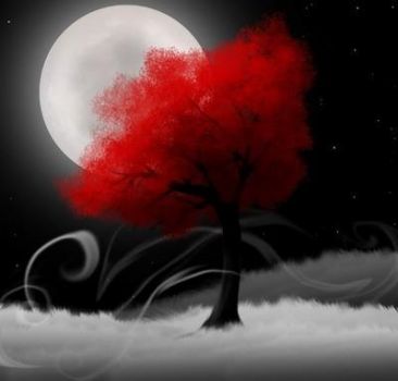 Se si alza la brezza gelida quando � notte  