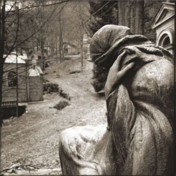 Crisantemi in cattivit�