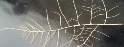 Elucubrazioni mentali  