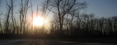 Aspettando primavera