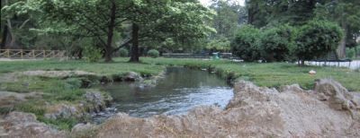 Passeggiando nel parco