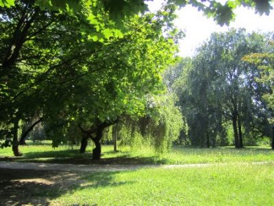 Ultimi fuochi d'agosto  