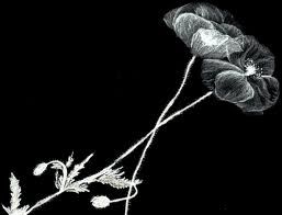 Il prezzo di un sorriso