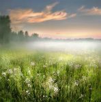 Concerto di primavera