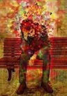 Una stella nel cielo