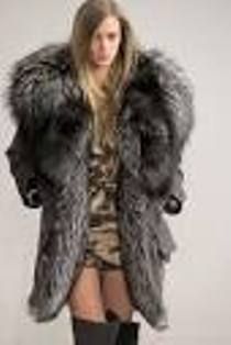 Gli animali noi siamo