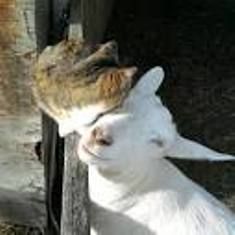 Aprire il cuore a Dio