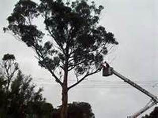 La conoscenza dei giusti